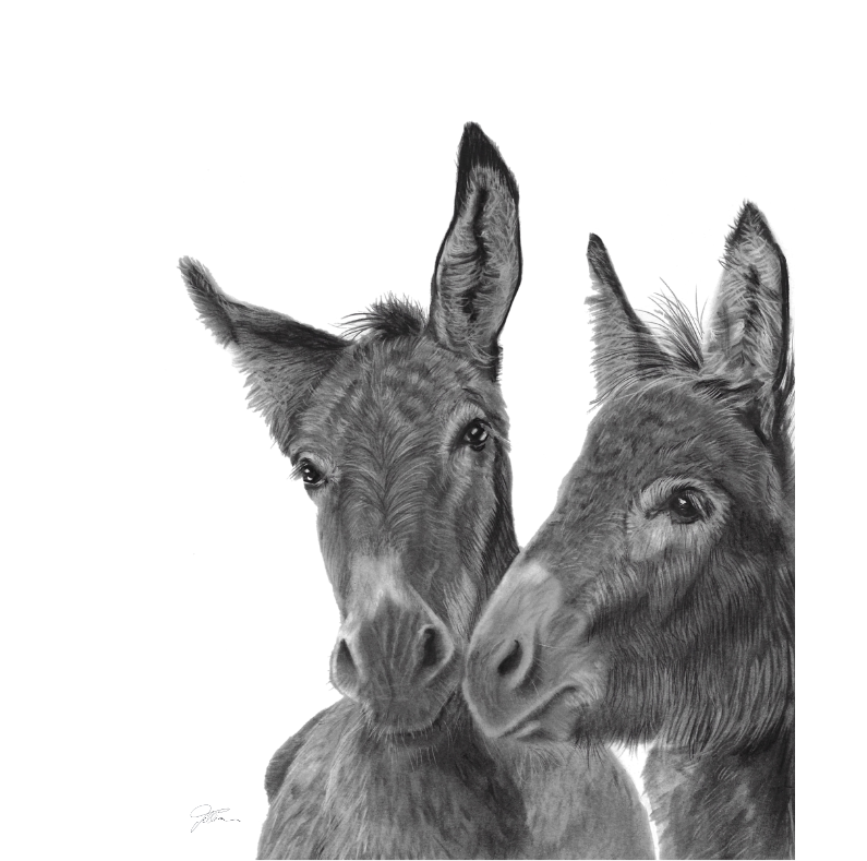 Kiss my donkey - Framed Print