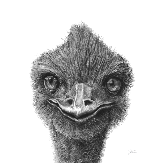 That's Emusing A4 Print