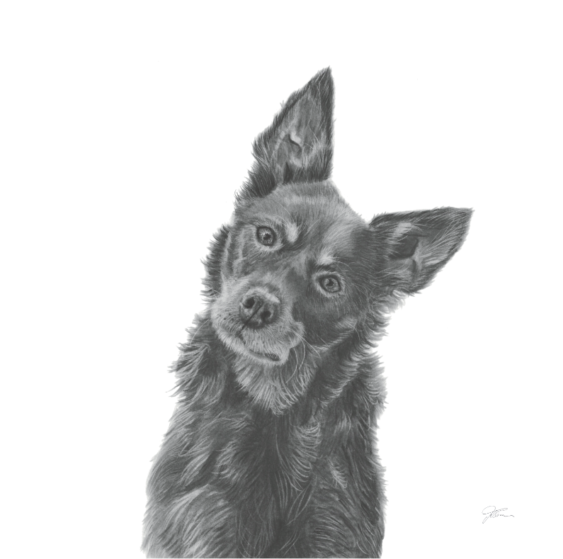 They see me workin' A3 Print