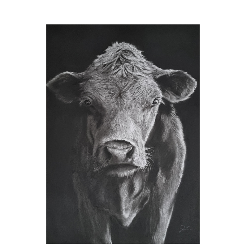 Bold Cow A4 Print