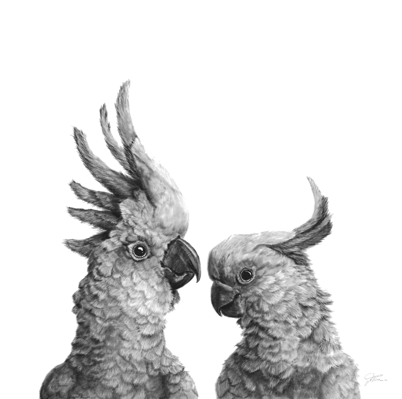 Im not cocky, you're cocky A4 Print