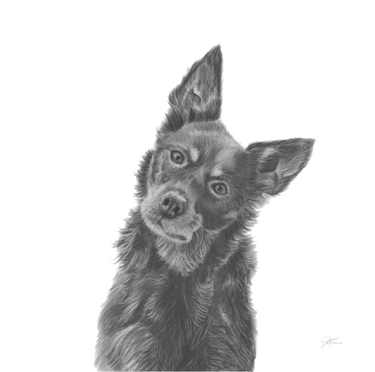 They see me workin' A5 Print