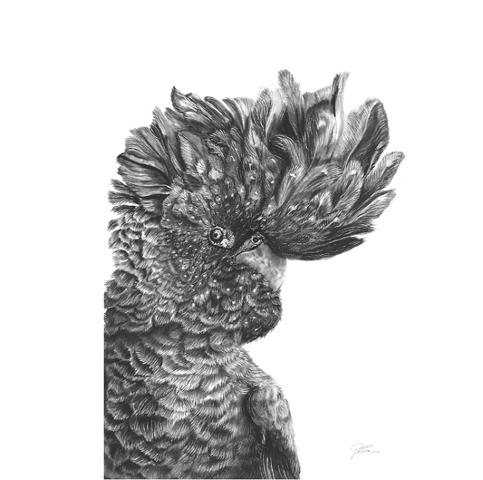 Attitude OG A4 Print