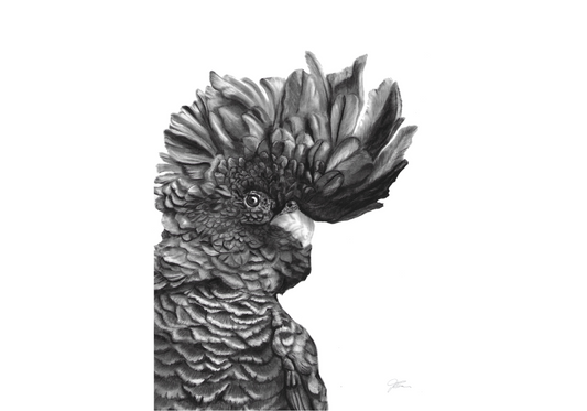 Attitude 2.0 A4 Print